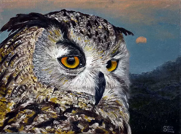 Lena Sterk - eagle-owl