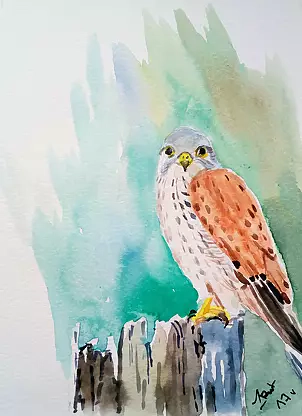 Zdzisław Rutkowski - Pustułka