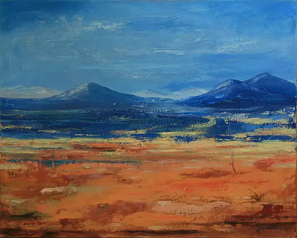 Danuta Zgoł - Pustynia Solna