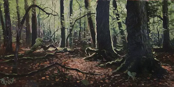 Tomasz Wiczyński - Puszcza 1