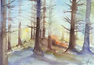 Zdzisław Rutkowski - Puszcza Augustowska