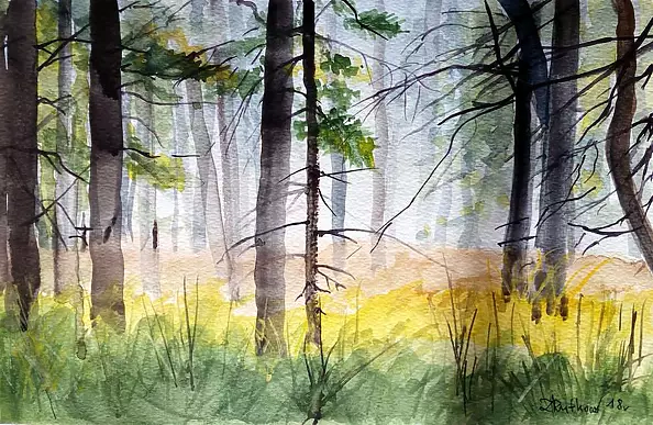 Zdzisław Rutkowski - Puszcza Augustowska