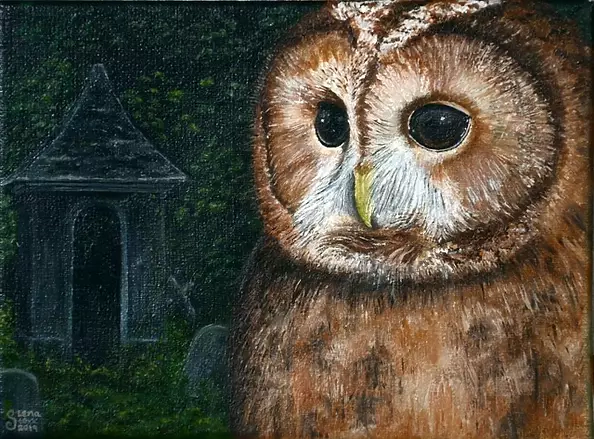 Lena Sterk - Puszczyk