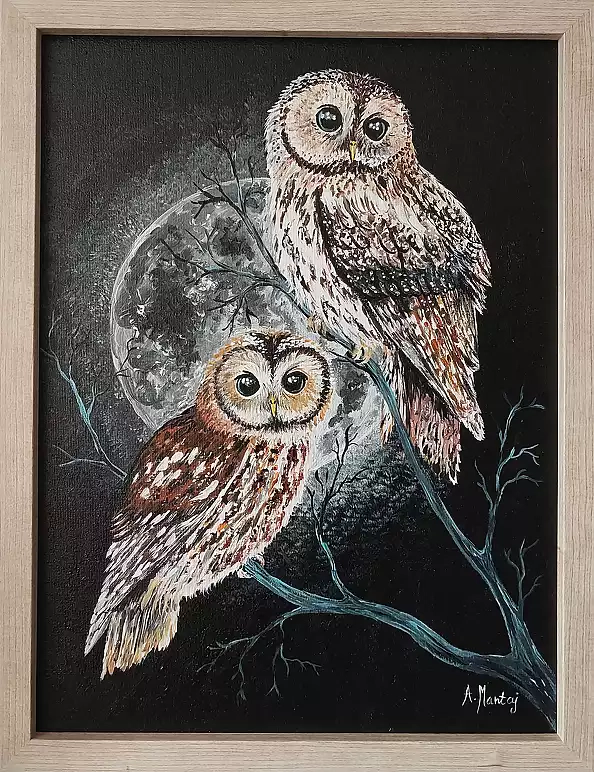 Agnieszka Mantaj - Tawny owls