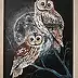 Agnieszka Mantaj - Tawny owls