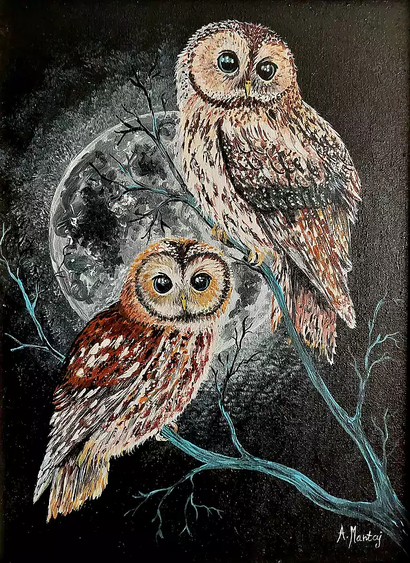 Agnieszka Mantaj - Tawny owls