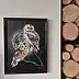 Agnieszka Mantaj - Tawny owls