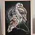 Agnieszka Mantaj - Tawny owls
