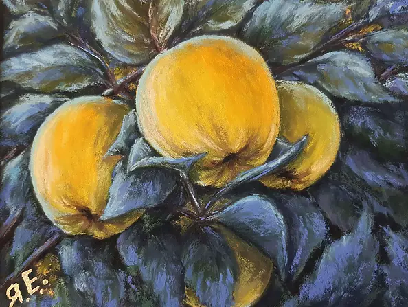 Yana Yeremenko - "QUINCE IN THE MOONLIGHT" pastel drawing