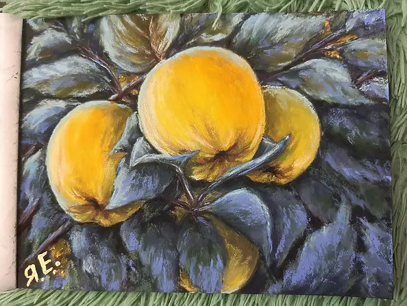 Yana Yeremenko - "QUINCE IN THE MOONLIGHT" pastel drawing
