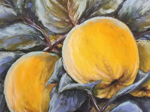 Yana Yeremenko - "QUINCE IN THE MOONLIGHT" pastel drawing