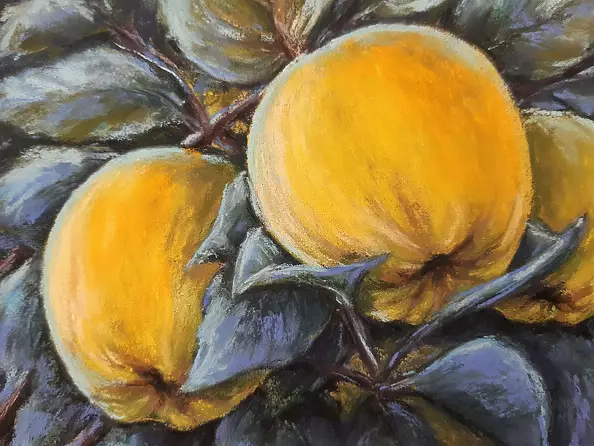 Yana Yeremenko - "QUINCE IN THE MOONLIGHT" pastel drawing