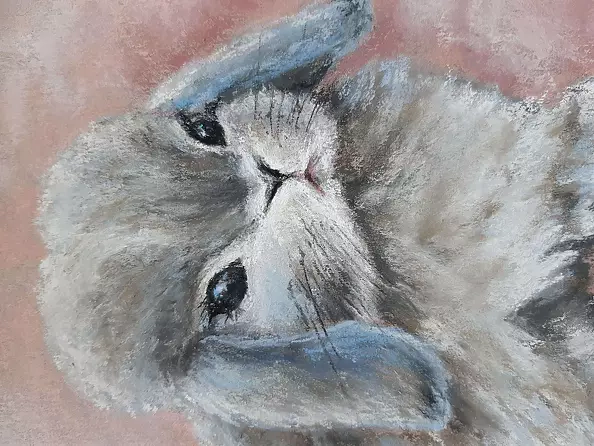 Yana Yeremenko - "RABBIT IN PINK CLOUDS" pastel drawing