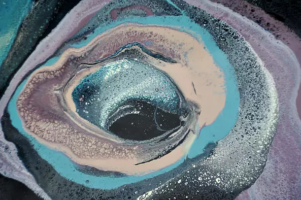 Beata Van Wijngaarden - GUNS AND ROSES. AND TULIPS