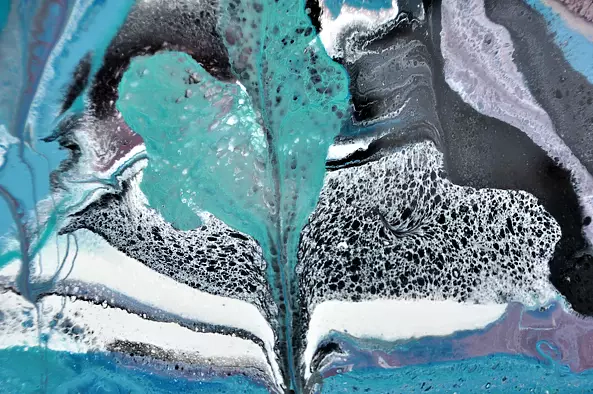 Beata Van Wijngaarden - GUNS AND ROSES. AND TULIPS