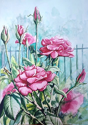 Aleksander Stolicki - ROSES