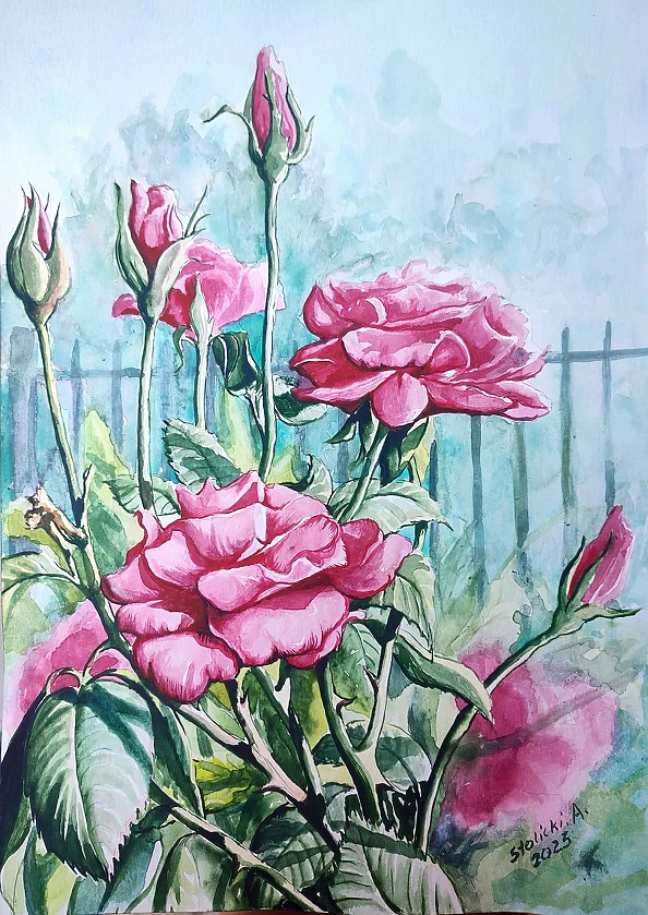 Aleksander Stolicki - ROSES