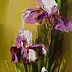 Dorota Łaz - Iris rosa