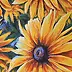 Yana Yeremenko - "RUDBECKIA-2" yellow flowers. pastel drawing
