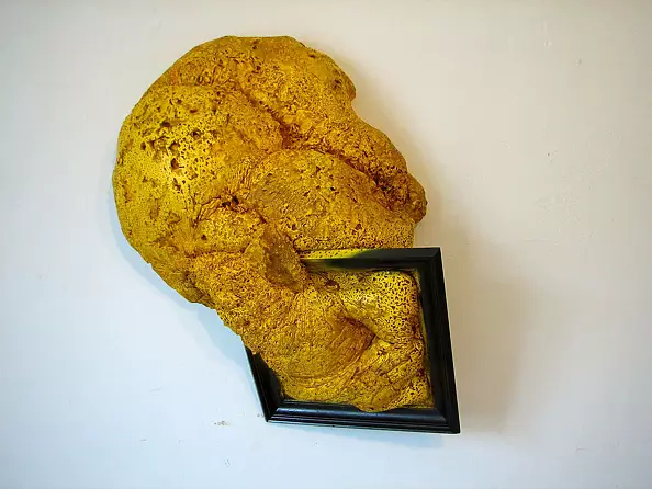 Marcin Paprota - Entity 4 