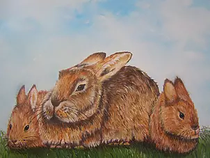 Weronika Stępień - Króliki