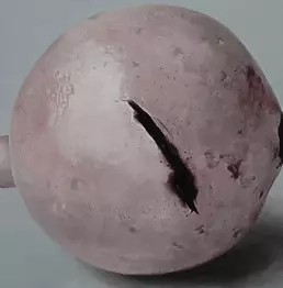 Magdalena Szczęśniak - Wound