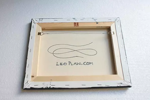 Leo Plaw - Ratschu Pikatschu Captian