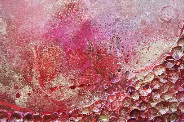 Rachel McCullock - Red Carerra