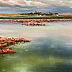 Yana Yeremenko - "Red Estuary" landscape with water and lotuses