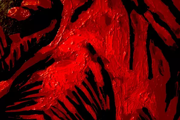 Drozdova Mariia - Red Horse