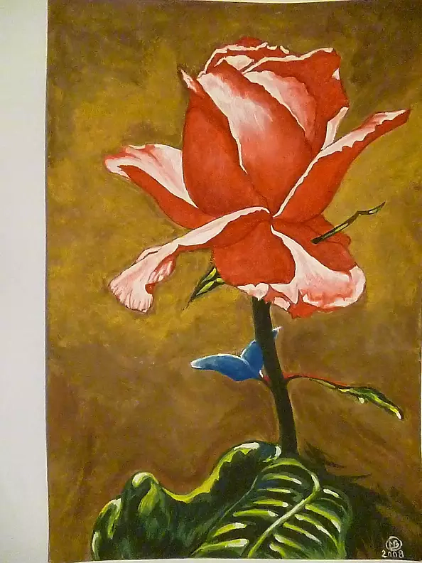 Marianna Małgorzata Bakanowicz - Red Rebeka-2008