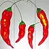 Rachel McCullock - Red chilli triptych