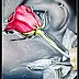 Małgorzata Wagner - Red rose