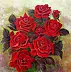 Małgorzata Mutor - красные розы