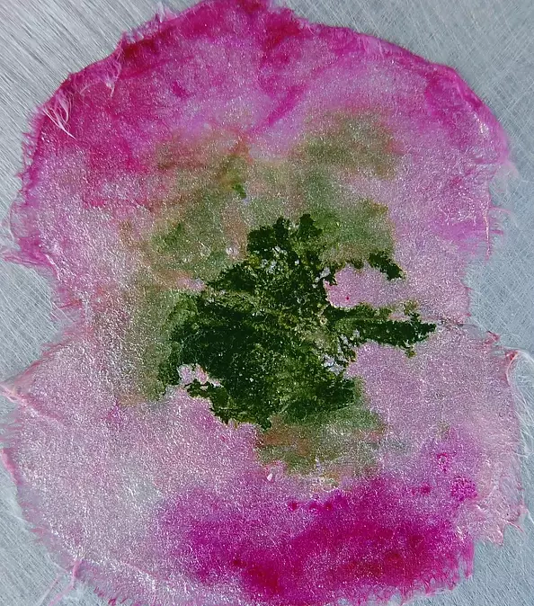 Rachel McCullock - Reflective Blooms 3