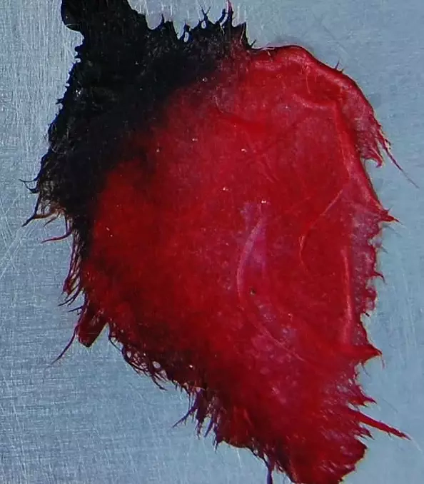 Rachel McCullock - Reflective Blooms 4