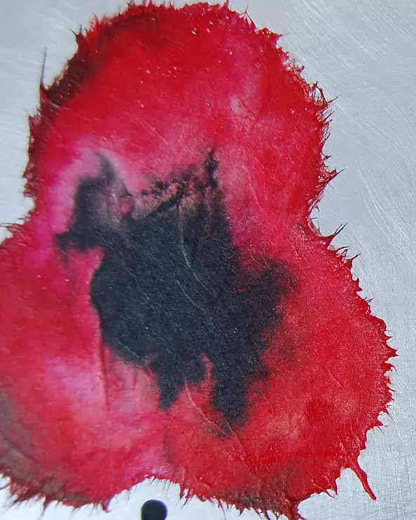 Rachel McCullock - Reflective Blooms 4