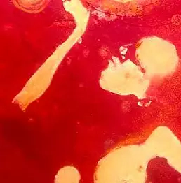 Karolina Dyonizy - Reflejo del Sol