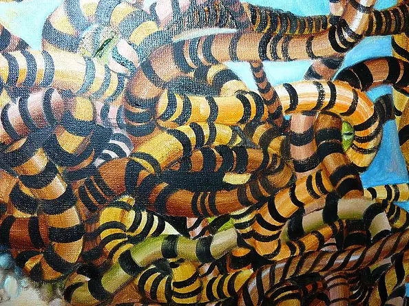 Iwona Wierkowska-Rogowska - Reinkarnacja