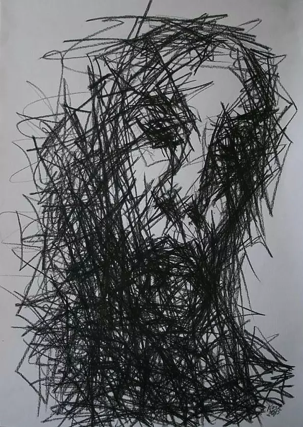 Barbara Kosz - Inaccessible areas 3