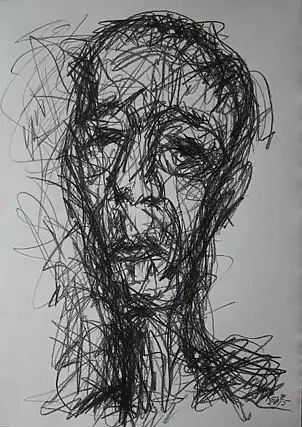 Barbara Kosz - Inaccessible areas 4