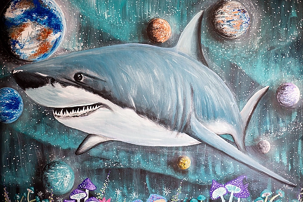 Agnieszka Mantaj - A shark in space