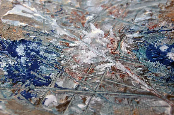 Amelia Augustyn - Reverse