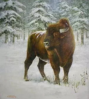 Tadeusz Gazda - Reks - bison