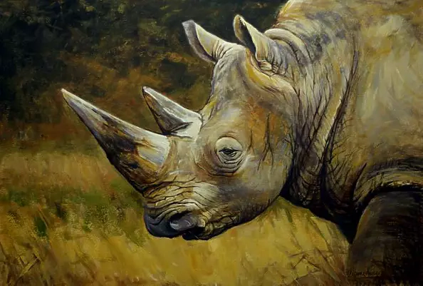 Michał Nowakowski - Rhino