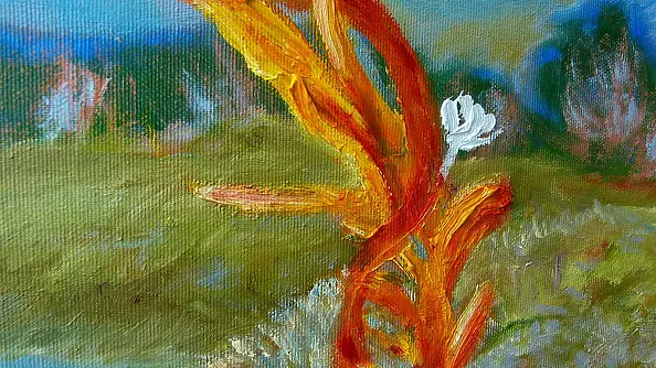 Elżbieta Goszczycka - Ring