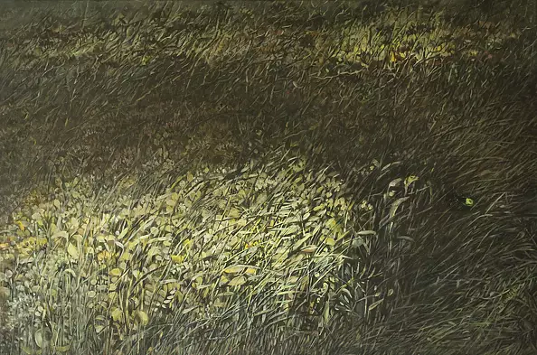 Natalia Karasińska - Firefly