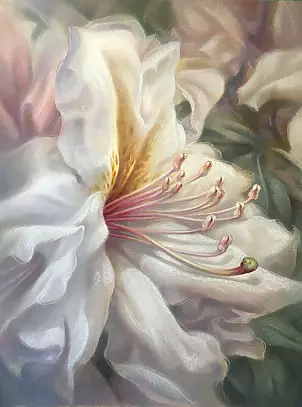 Maria Gruza - Rododendro