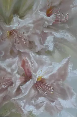 Maria Gruza - Rhododendrons