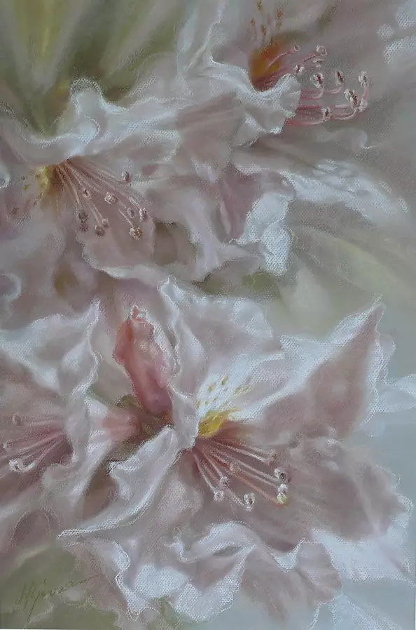 Maria Gruza - Rhododendrons